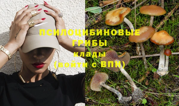 синтетический гашиш Елизово