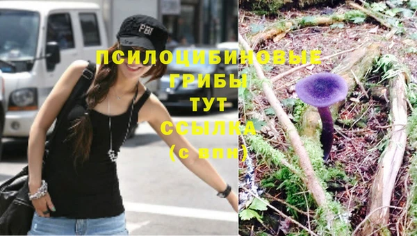 а пвп мука Елабуга