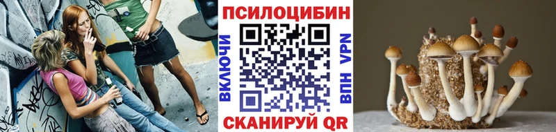 Псилоцибиновые грибы мухоморы  Шатура 
