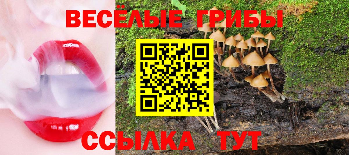 Шатура  Псилоцибиновые грибы GOLDEN TEACHER  где купить наркоту  Вход с VPN 