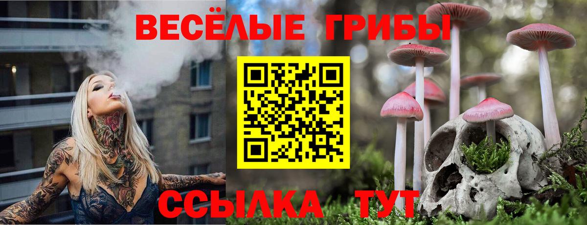 Псилоцибиновые грибы Cubensis Шатура