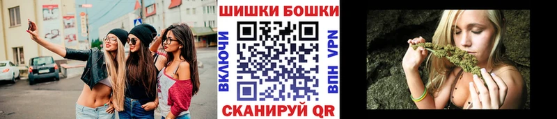 Конопля сатива Шатура