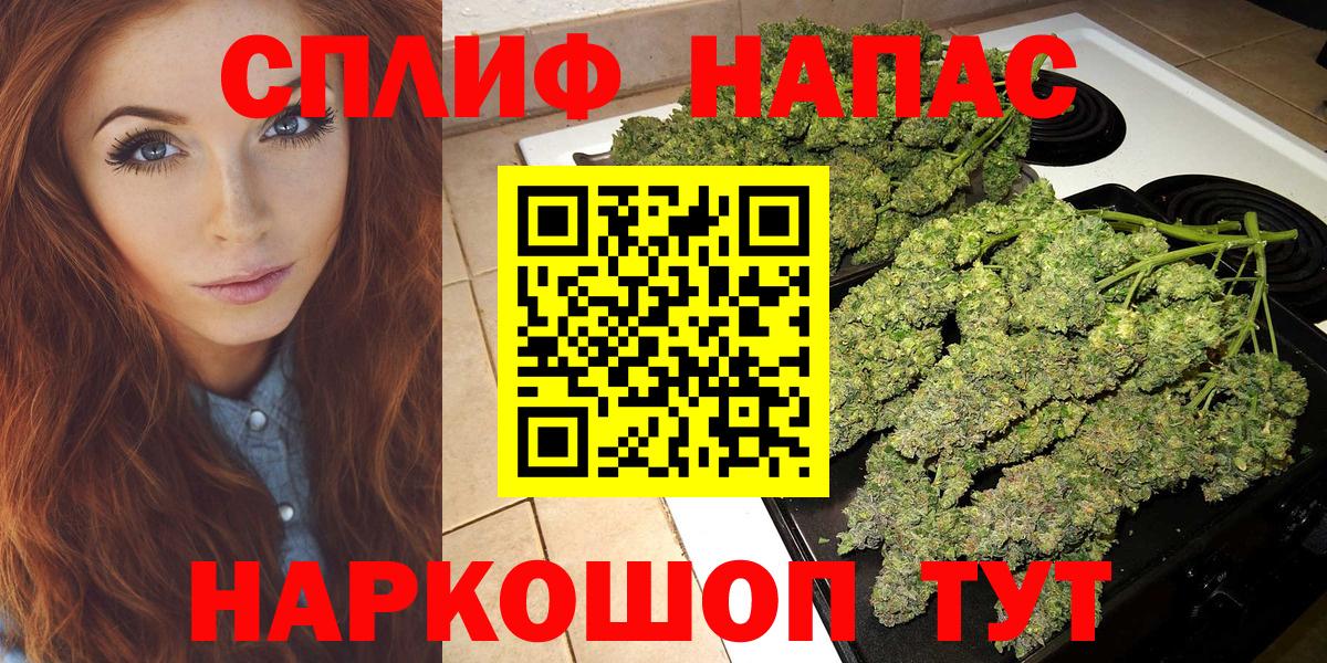 Каннабис план Шатура